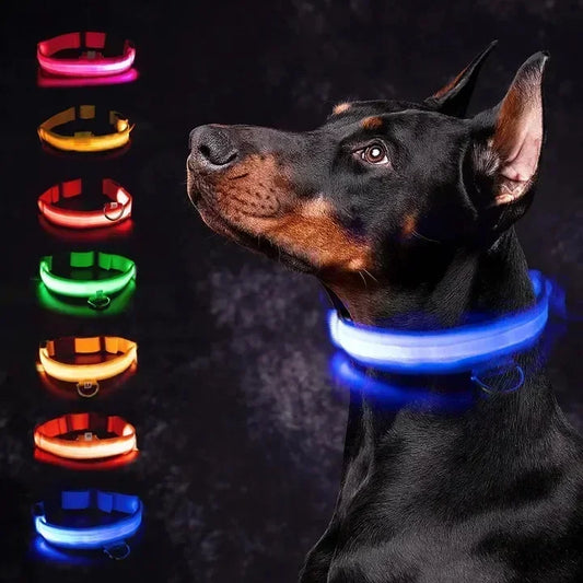 SafeGlow™ Pet Collar